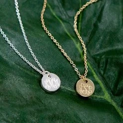 Monogrammed Tiny Disc Necklace -Fashion Clothing Store 0r3 tiny disc necklace around neck gold and silver on green palm