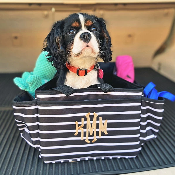 Monogrammed Car Organizer 2 Monogrammed Car Organizer - Image 2