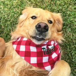 Personalized Dog Bandana -Fashion Clothing Store H5K red white buffalo plaid dog bandana with dog on grass