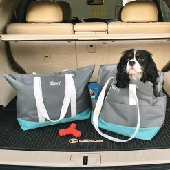 Personalized Pet Supply Tote -Fashion Clothing Store WV7 pet supply tote and pet carrier in trunk